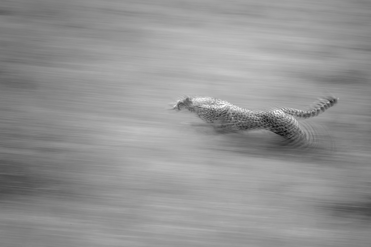 The Speed of Light