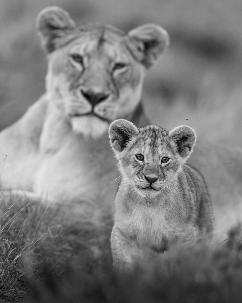 Under Mom's Watch