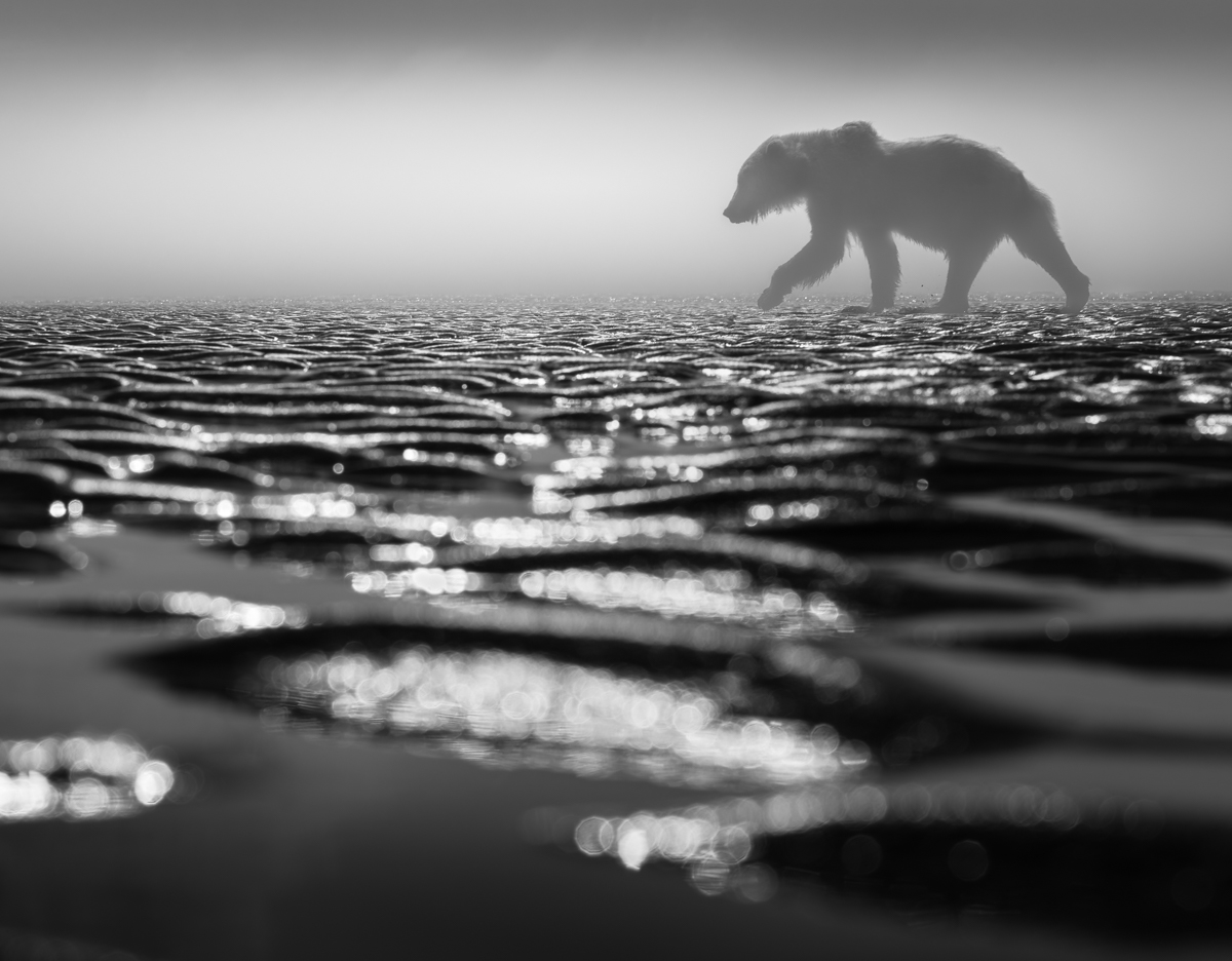 Walking on Diamonds