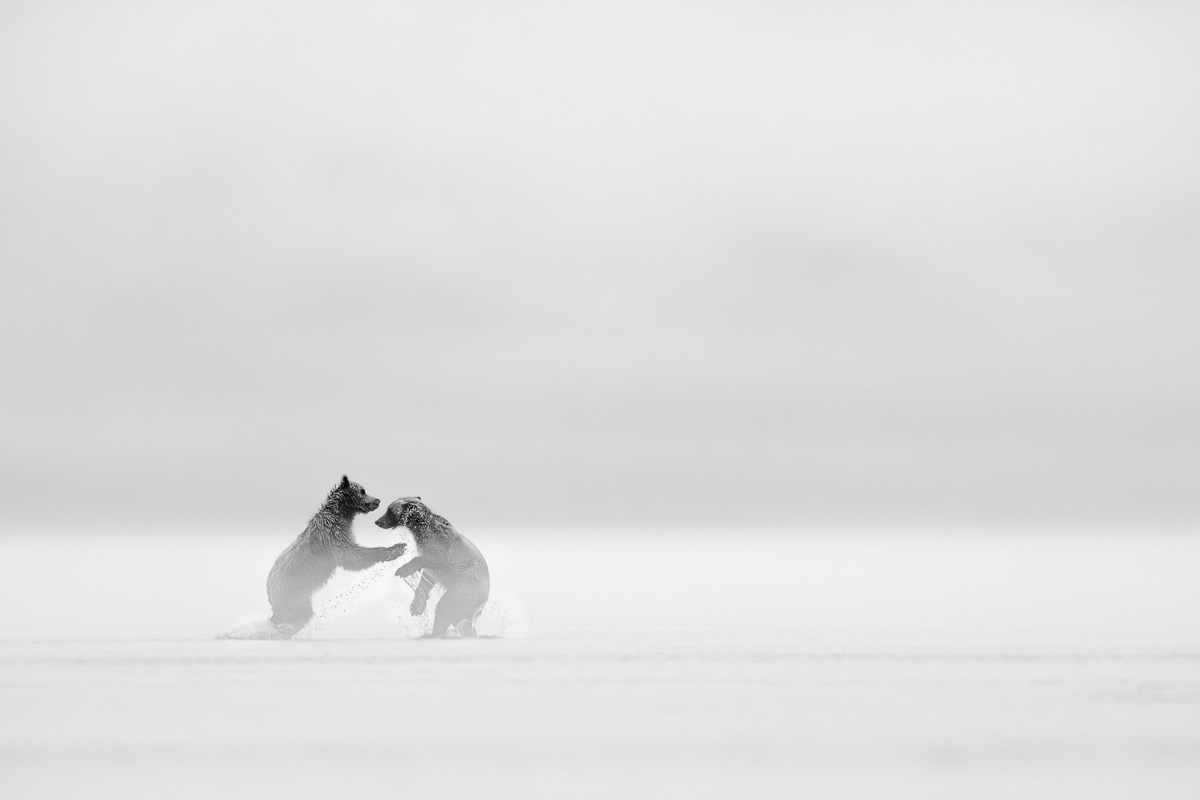 Boxing in the Fog