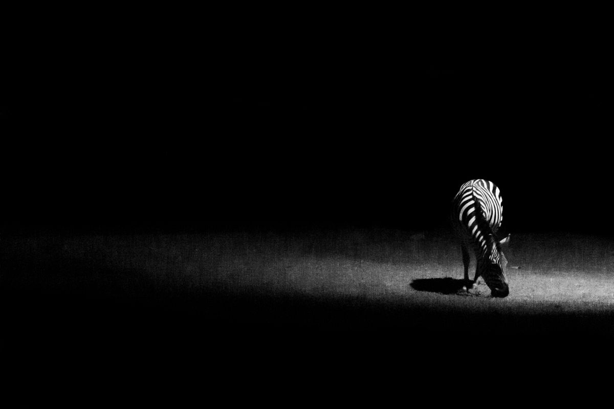 Quiet Presence