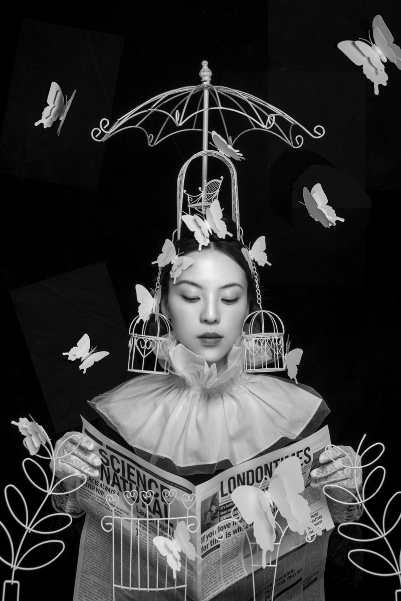 Butterfly Cage and Book