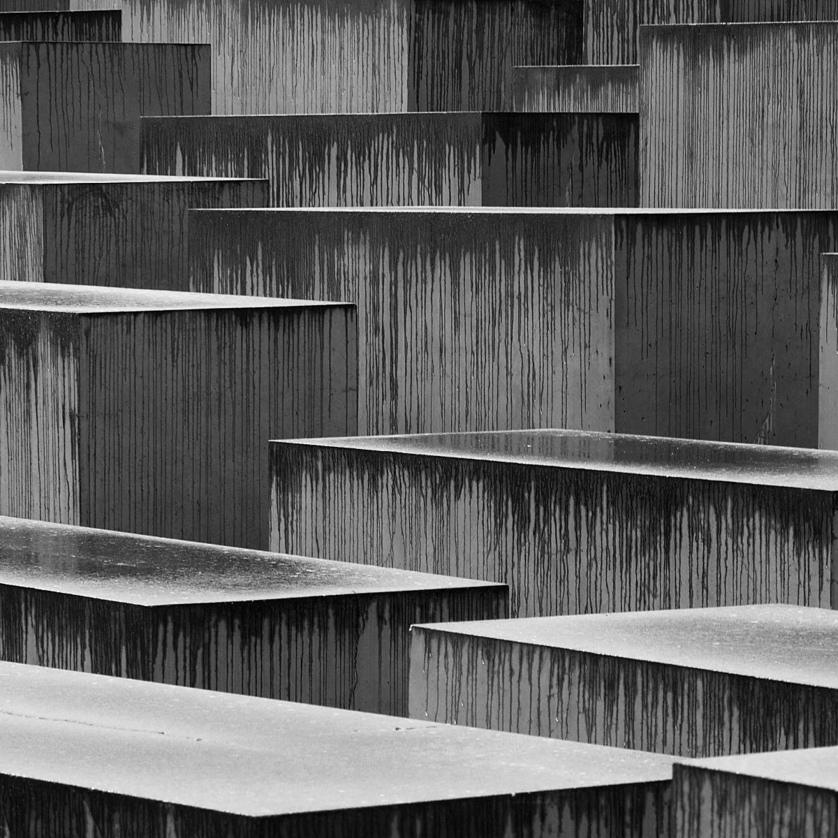 Dialogue of the Elements