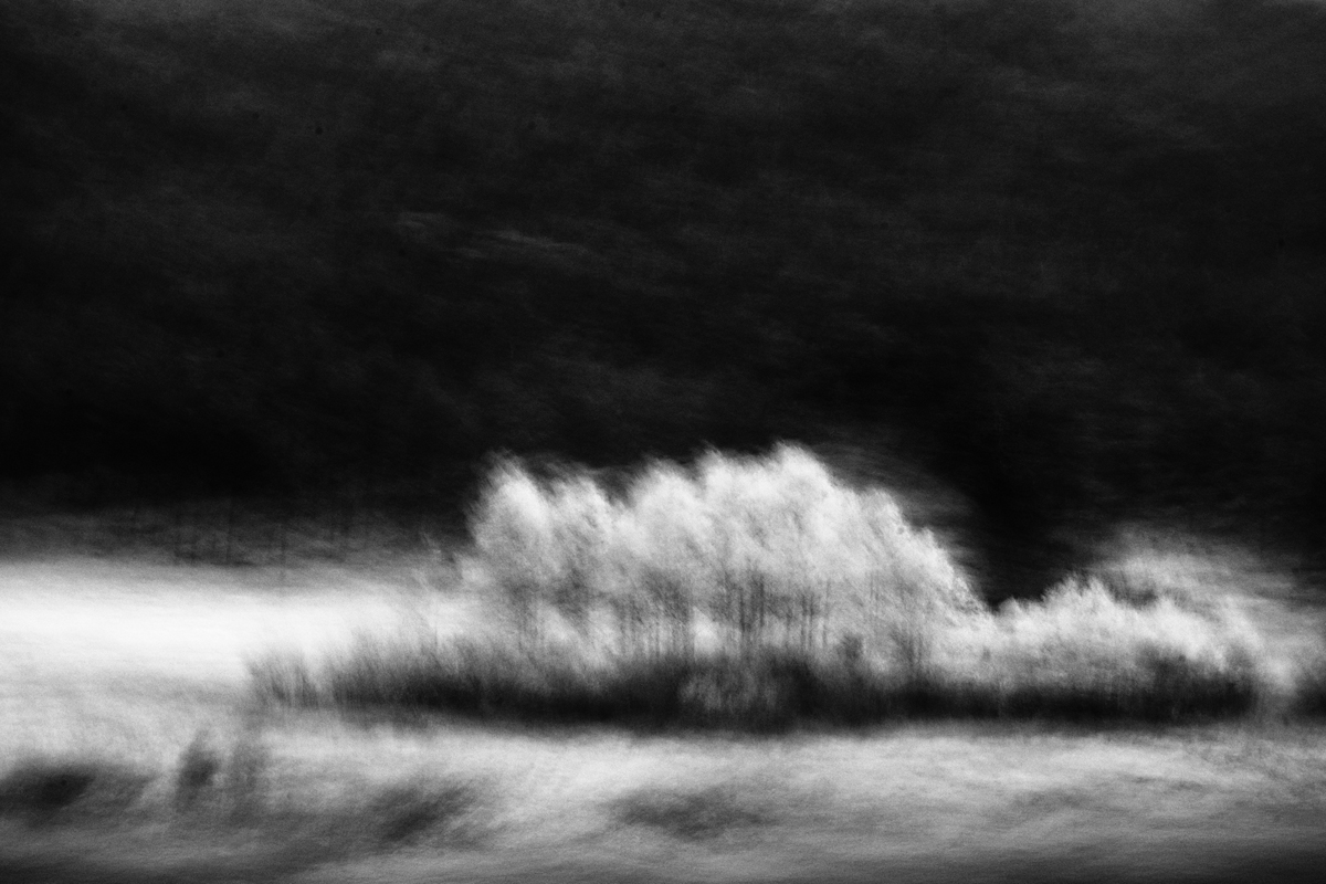 Isle of Aspens