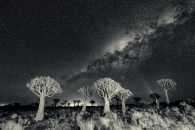 Namibia under the stars