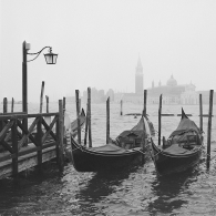 Misty Morning in Venice