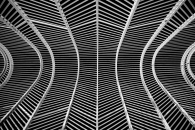 Lines from Santiago Calatrava!