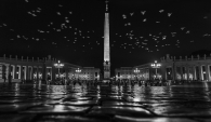 Birds Over St Peters Square