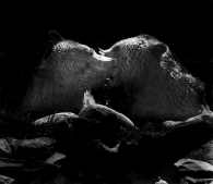 Kissing Bear at Dark