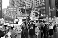 Issue of dog meat in Korea