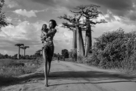 Walking in the baobab Avenue 