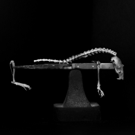 Urban Archaeology skeleton