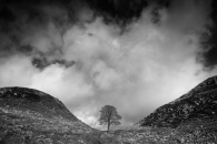 The Sycamore Gap