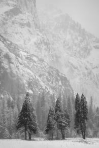 Yosemite Snowstorm