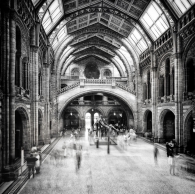 Natural History Museum of London