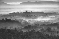 The misty Borobudur