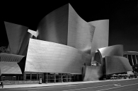 The Walt Disney Concert Hall in LA