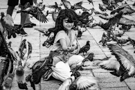 Young girl feeding pigeons, Baščaršija, Sarajevo