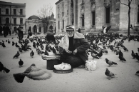 Old Man Feeding Pigeons in Istanbul 1964