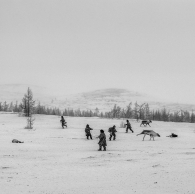 Nenets capturing reindeer.