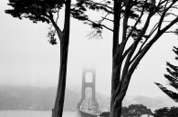 Golden Gate branches