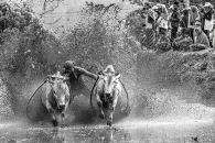 Bull Mud Racing-1
