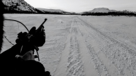 Ptarmigan hunting in Nunavik