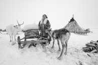 Lida and the sacred reindeer