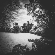 Powderham Castle 