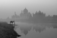 Morning In Agra