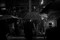 Backlit rain storm - Streets of Sydney