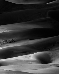 Dune Study 2