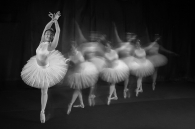 Ballet Dream Afterimage