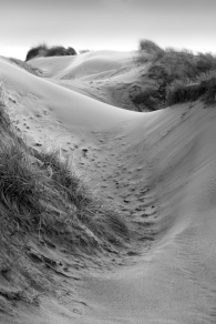 Curves in the sand