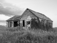 Whispers of the Past: An Abandoned Homestead