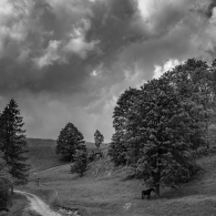 Biała Woda Reserve in the Pieniny Mountains