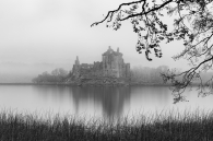 Reflection in the Loch