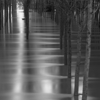 Pedriali Massimo,The flood on the river Po